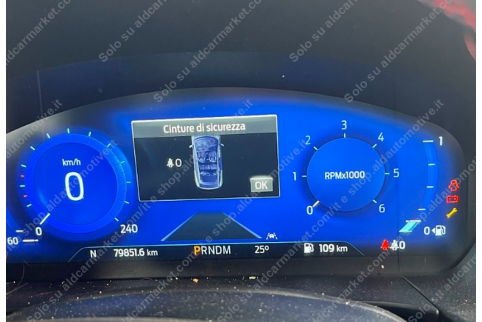 2023 Ford Kuga, Dyzelinas